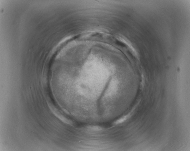 X0000082730203200702232355