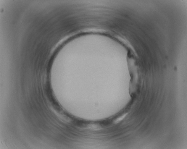 X0000082730204200702232355