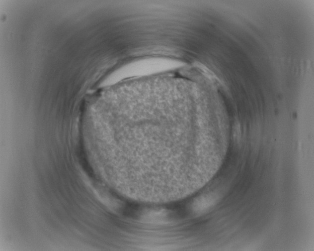 X0000082730206200702232355