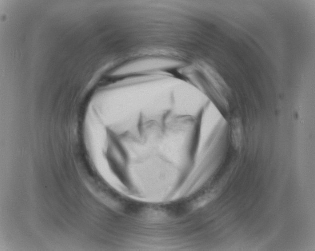 X0000082730207200702232355