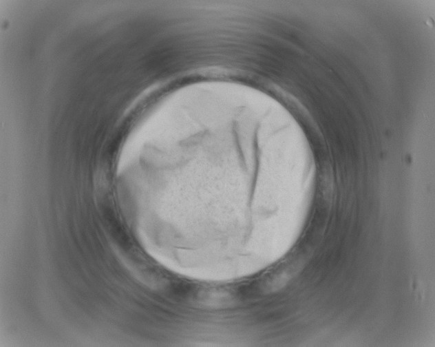 X0000082730208200702232355