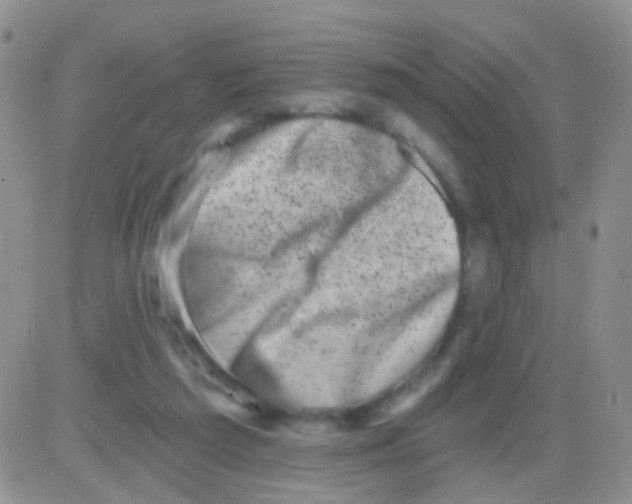 X0000082730209200702232355