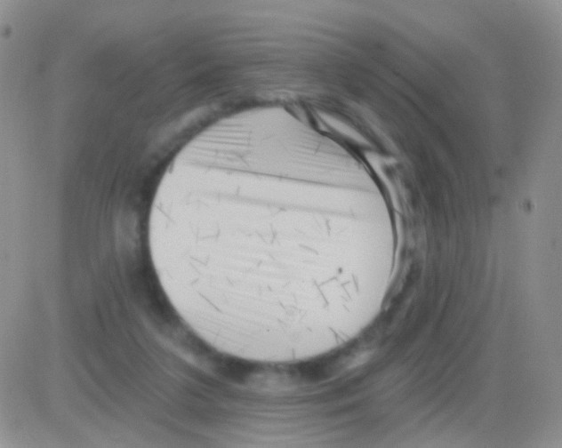 X0000082730211200702232355