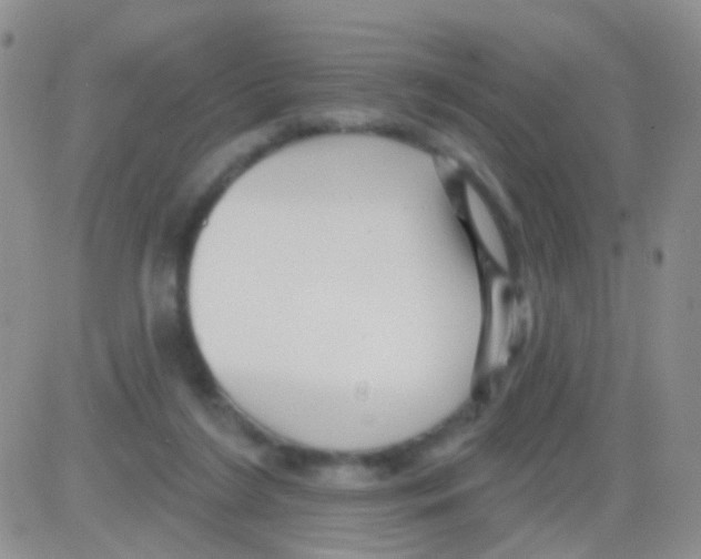 X0000082730212200702232355