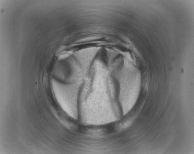 X0000082730213200702232355