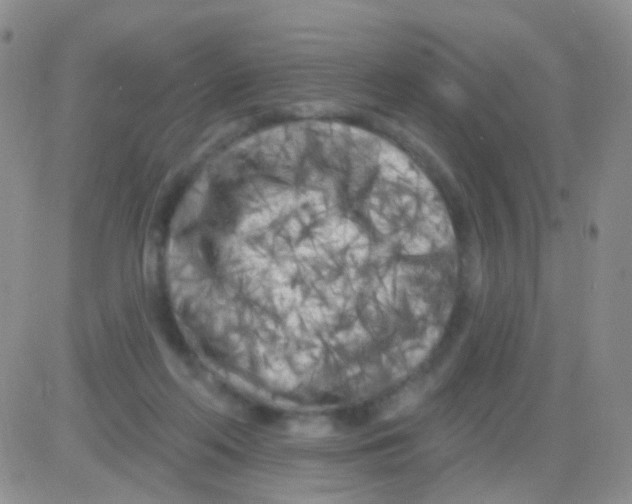 X0000082730214200702232355