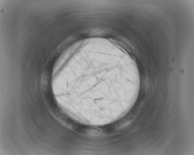 X0000082730215200702232355