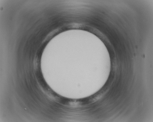 X0000082730216200702232355