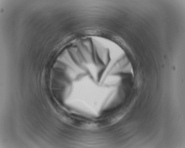 X0000082730217200702232355