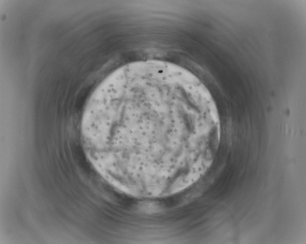 X0000082730218200702232355