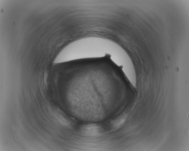 X0000082730219200702232355