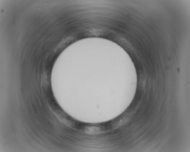 X0000082730220200702232355