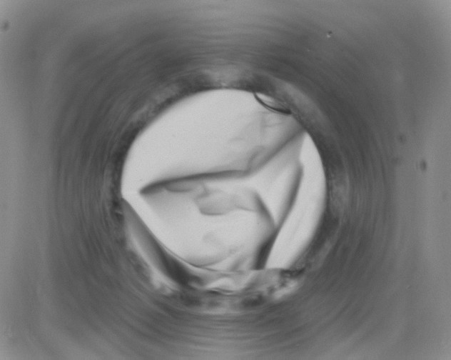 X0000082730221200702232355