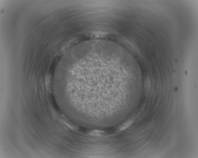 X0000082730222200702232355