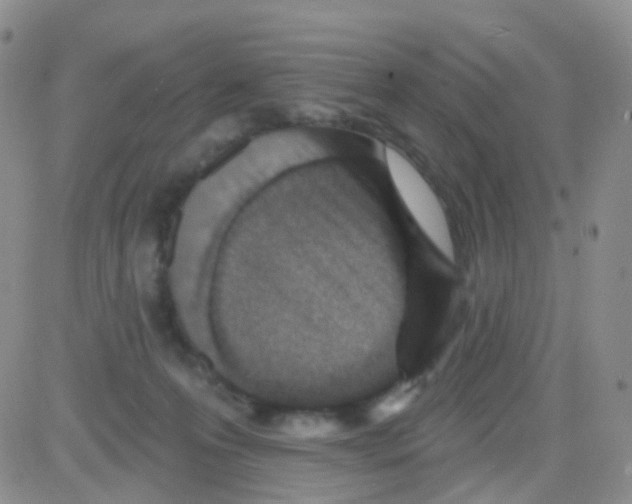 X0000082730223200702232355