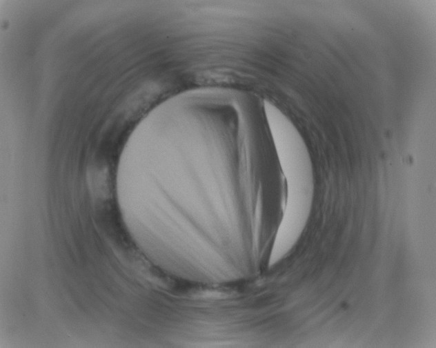 X0000082730224200702232355