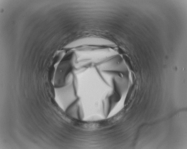 X0000082730225200702232355