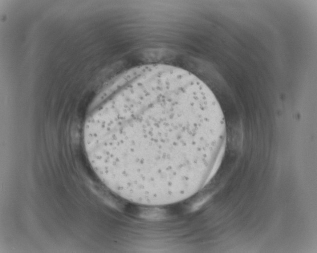 X0000082730226200702232355