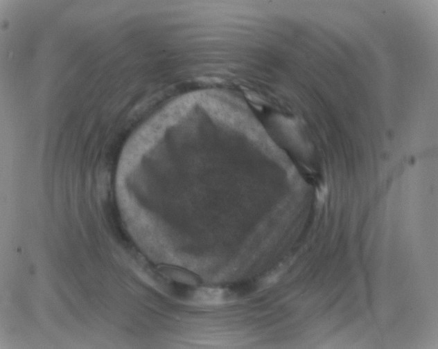 X0000082730227200702232355