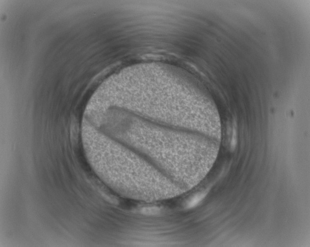 X0000082730228200702232355