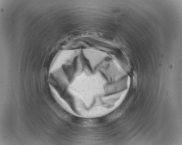 X0000082730229200702232355