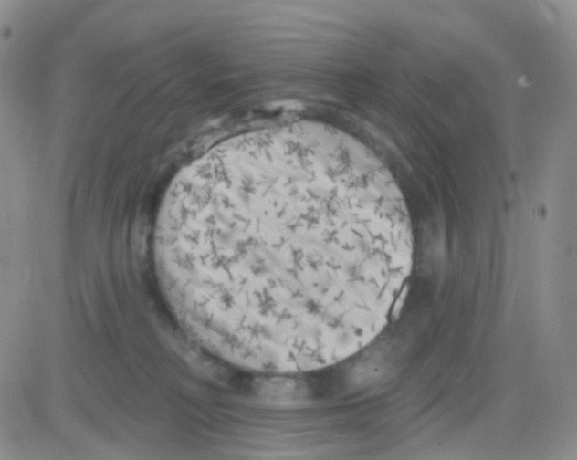 X0000082730230200702232355