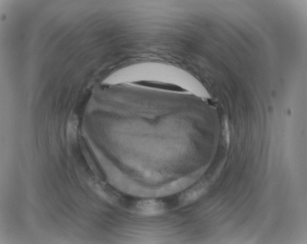 X0000082730231200702232355