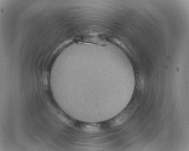 X0000082730232200702232355