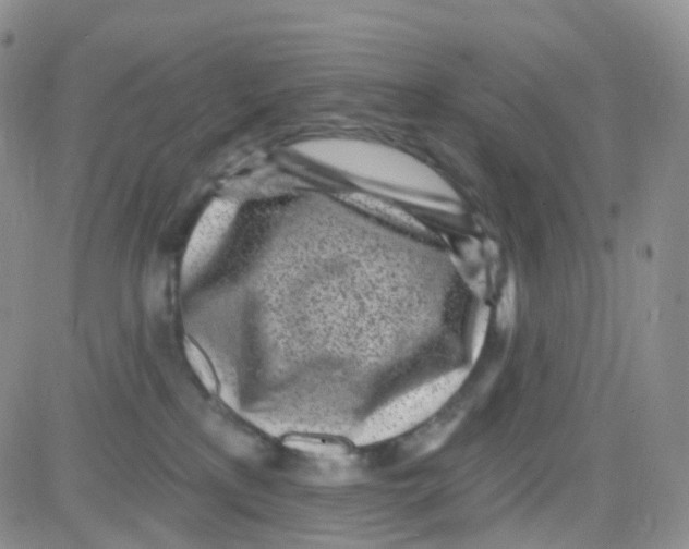 X0000082730233200702232355