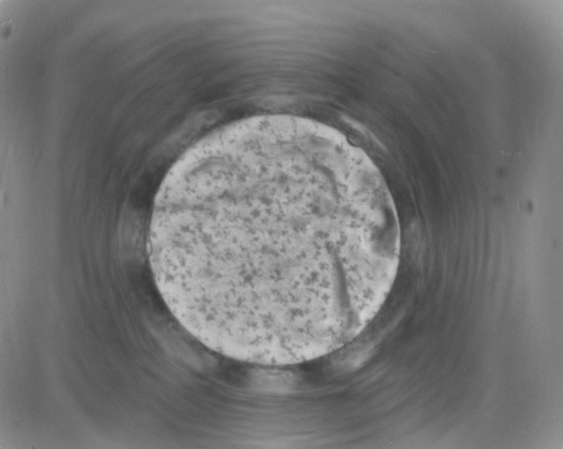 X0000082730234200702232355