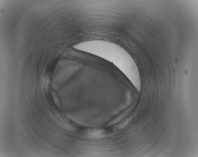 X0000082730235200702232355