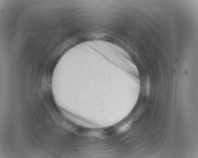 X0000082730236200702232355