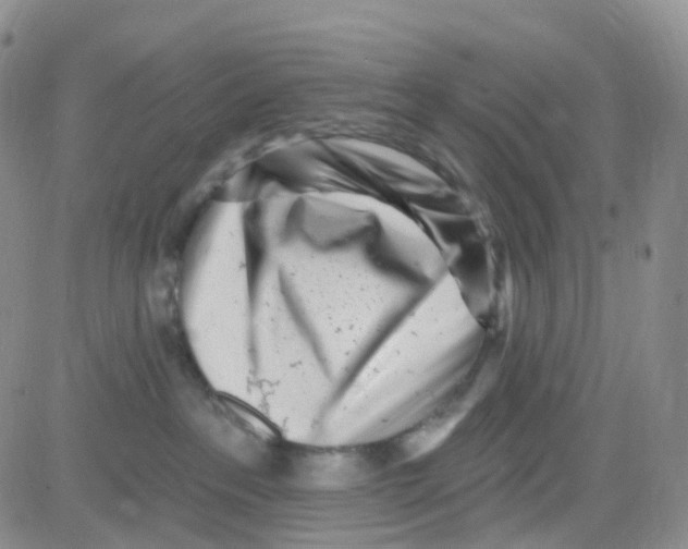 X0000082730237200702232355