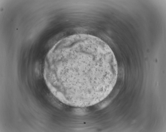 X0000082730238200702232355