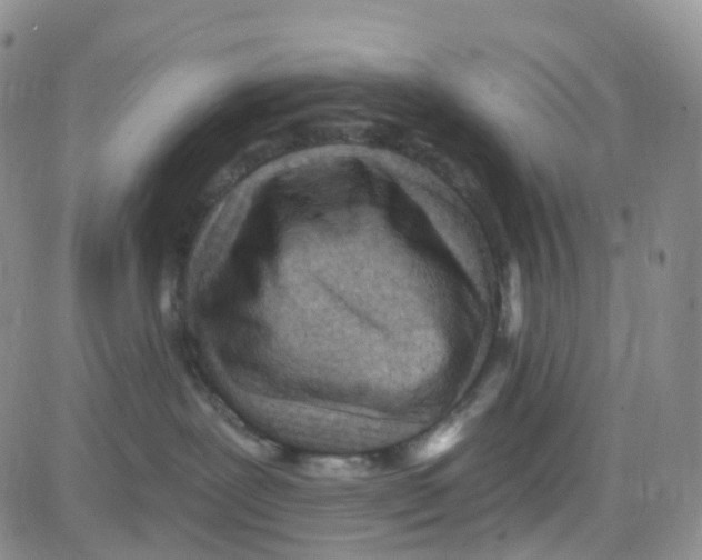 X0000082730239200702232355