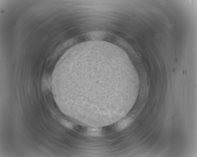 X0000082730240200702232355