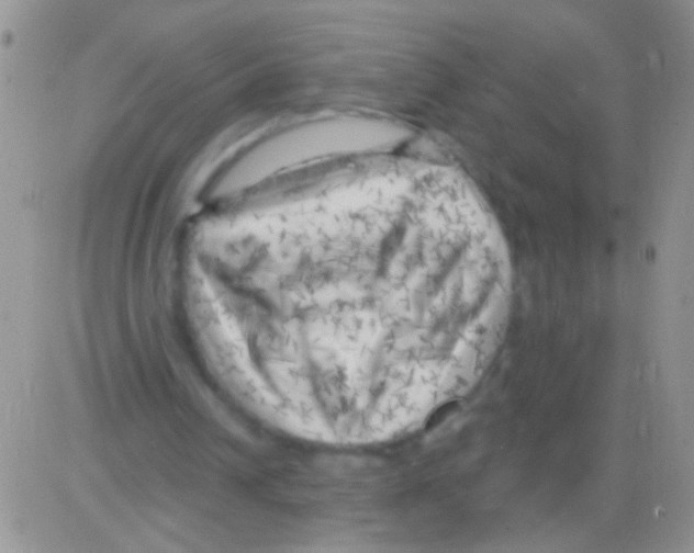 X0000082730242200702232354