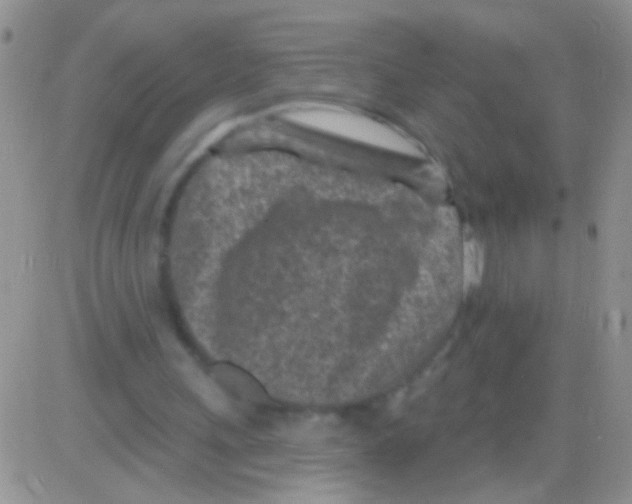 X0000082730243200702232354