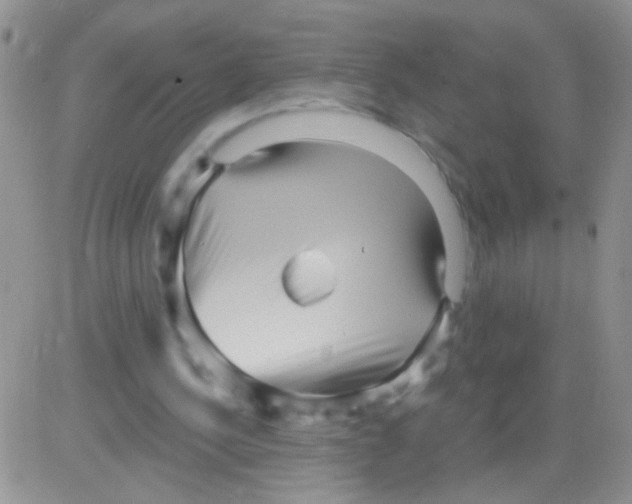 X0000082730244200702232354