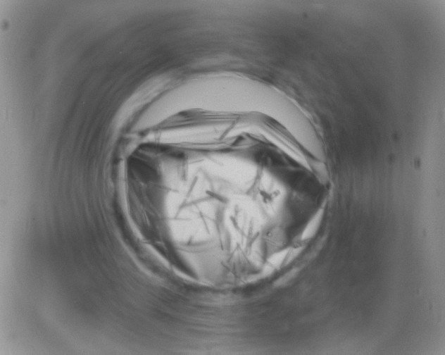 X0000082730245200702232354