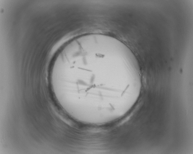 X0000082730246200702232354