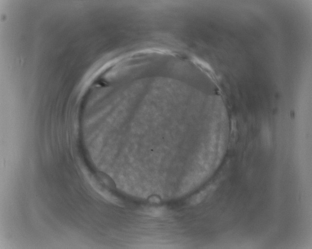 X0000082730247200702232354