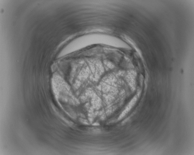 X0000082730249200702232354