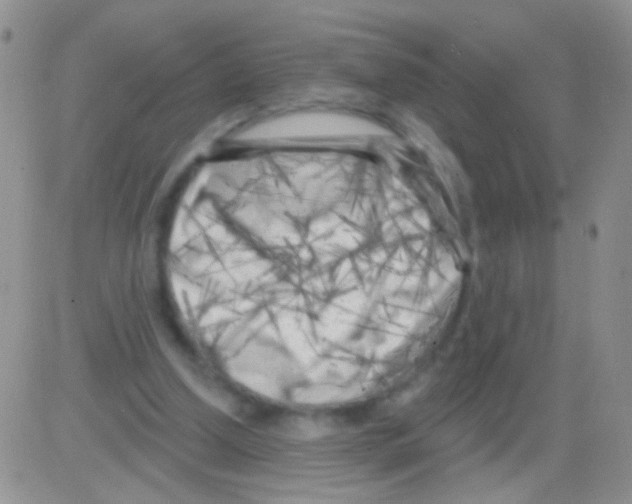 X0000082730250200702232354