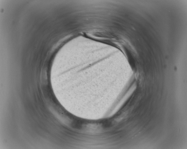 X0000082730251200702232354