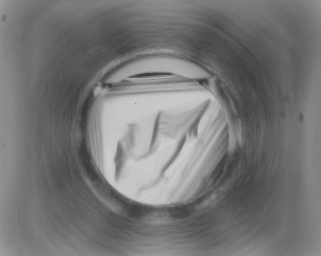 X0000082730252200702232354