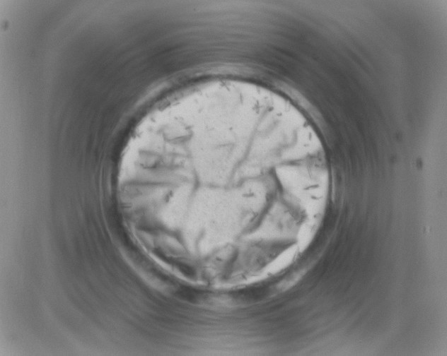 X0000082730253200702232354