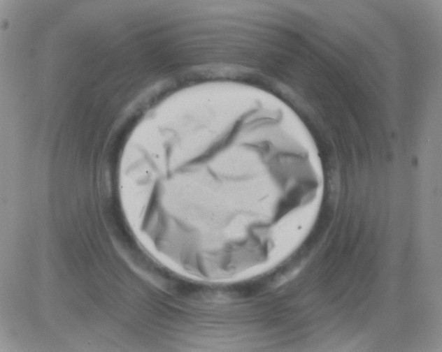 X0000082730254200702232354