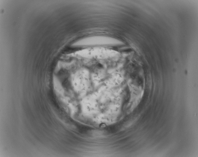 X0000082730255200702232354