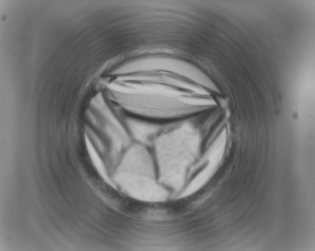 X0000082730256200702232354